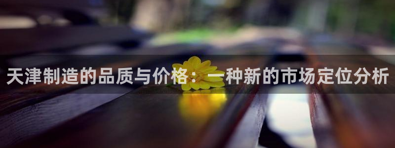 星欧娱乐用户名和密码：天津制造的品质与价格：一种新的市场定位