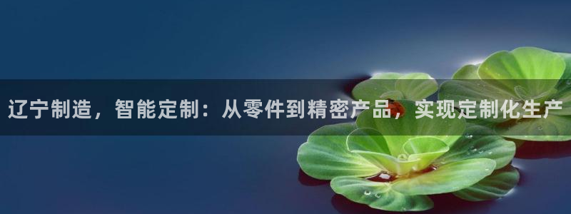 世欧星途娱乐：辽宁制造，智能定制：从零件到精密产品，实现定制