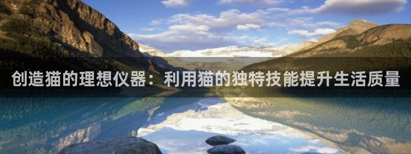 星欧娱乐平台是什么：创造猫的理想仪器：利用猫的独特技能提升生