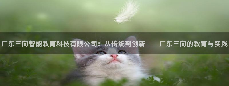 星欧娱乐娱乐是正规的吗：广东三向智能教育科技有限公司：从传统