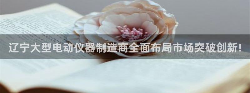 星欧娱乐公司电话号码：辽宁大型电动仪器制造商全面布局市场突破