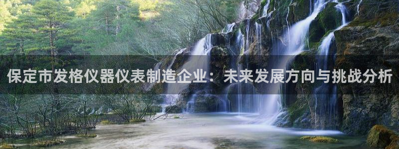 欧星娱乐安全吗：保定市发格仪器仪表制造企业：未来发展方向与挑