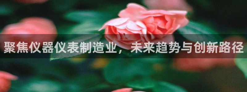 星欧娱乐公司电话号码：聚焦仪器仪表制造业，未来趋势与创新路径