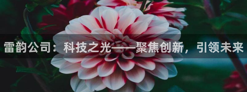 欧星娱乐网络娱乐：雷韵公司：科技之光——聚焦创新，引领未来
