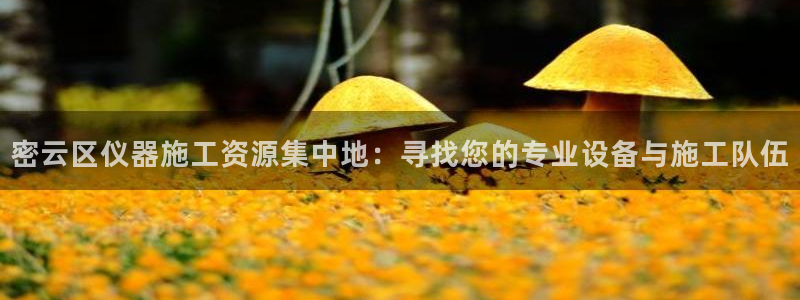 星欧娱乐是正规平台吗：密云区仪器施工资源集中地：寻找您的专业
