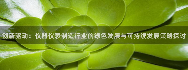 娱乐星扒客欧豪：创新驱动：仪器仪表制造行业的绿色发展与可持续