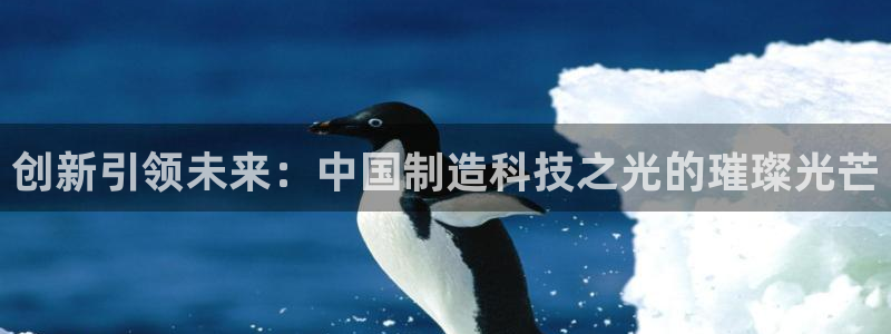 欧乐星城好玩的娱乐场所：创新引领未来：中国制造科技之光的璀璨