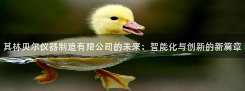 星欧娱乐公司电话号码：其林贝尔仪器制造有限公司的未来：智能化