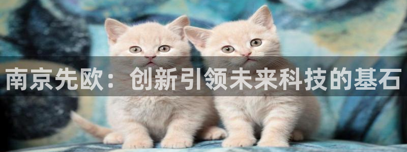 星欧娱乐606251：南京先欧：创新引领未来科技的基石