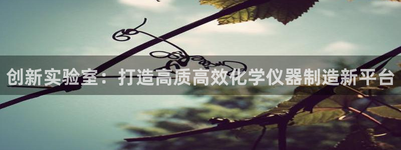 欧汇星娱乐：创新实验室：打造高质高效化学仪器制造新平台