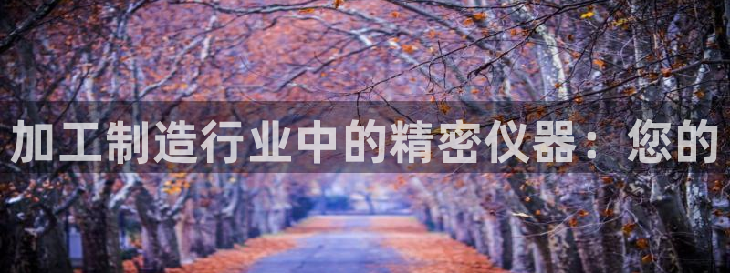 匠星娱乐政f下跪欧普软件园：加工制造行业中的精密仪器：您的