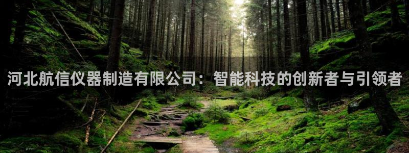 星欧娱乐招商81338：河北航信仪器制造有限公司：智能科技的