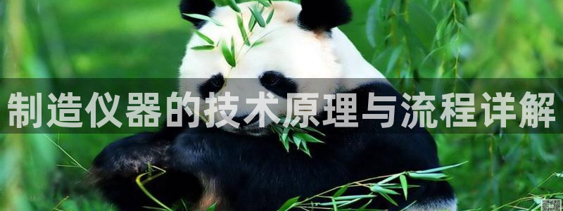 星欧娱乐挂机：制造仪器的技术原理与流程详解