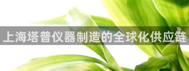 星欧娱乐公司电话号码：上海塔普仪器制造的全球化供应链