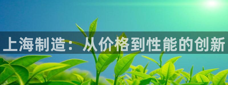 星欧娱乐用户名和密码：上海制造：从价格到性能的创新