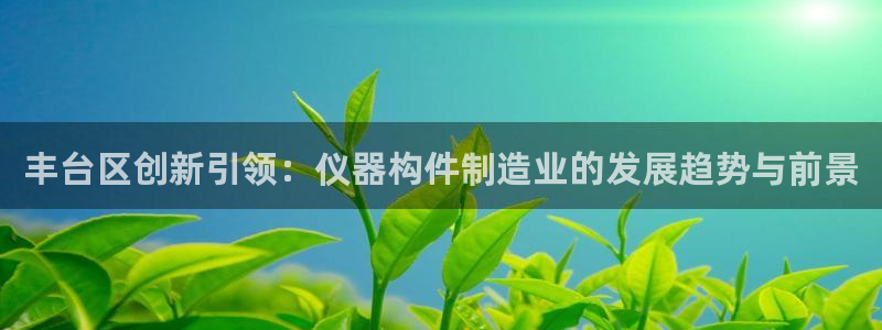 星欧娱乐现在叫什么：丰台区创新引领：仪器构件制造业的发展趋势