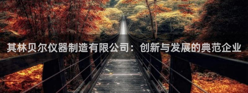 星欧娱乐扣费处理方法：其林贝尔仪器制造有限公司：创新与发展的