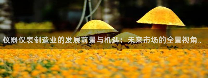 星欧娱乐平台登陆地址：仪器仪表制造业的发展前景与机遇：未来市