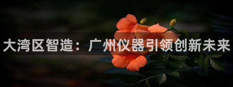 星欧娱乐注册客服电话：大湾区智造：广州仪器引领创新未来