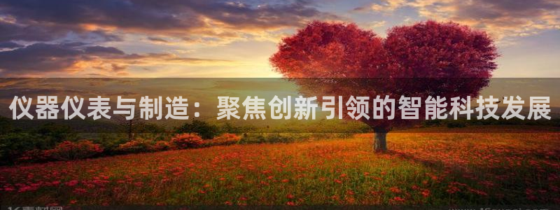 星欧娱乐2024：仪器仪表与制造：聚焦创新引领的智能科技发展