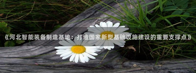 星欧娱乐注册：《河北智能装备制造基地：打造国家新型基础设施建