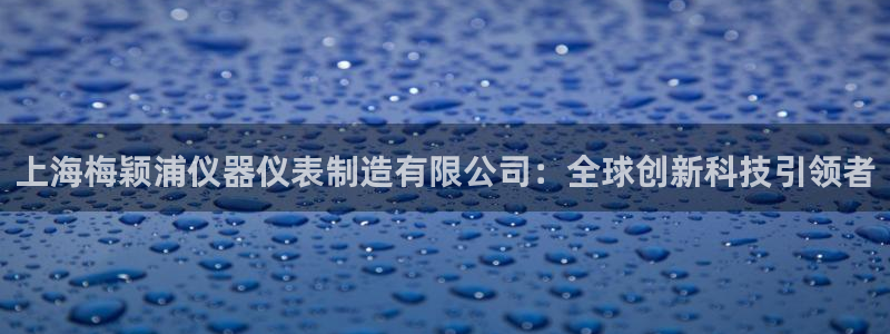 欧星娱乐网址无脑赚：上海梅颖浦仪器仪表制造有限公司：全球创新