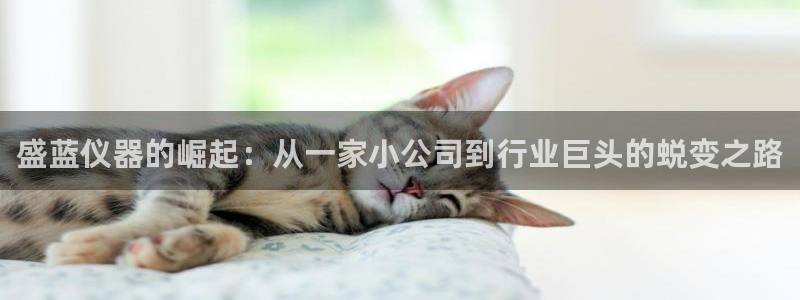 星欧娱乐咋7O777：盛蓝仪器的崛起：从一家小公司到行业巨头