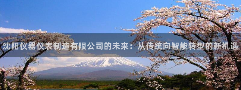 艾欧尼亚三星娱乐赛：沈阳仪器仪表制造有限公司的未来：从传统向