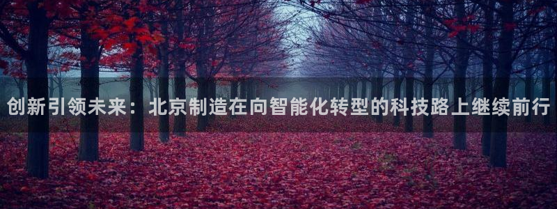 星欧娱乐注册官网入口：创新引领未来：北京制造在向智能化转型的