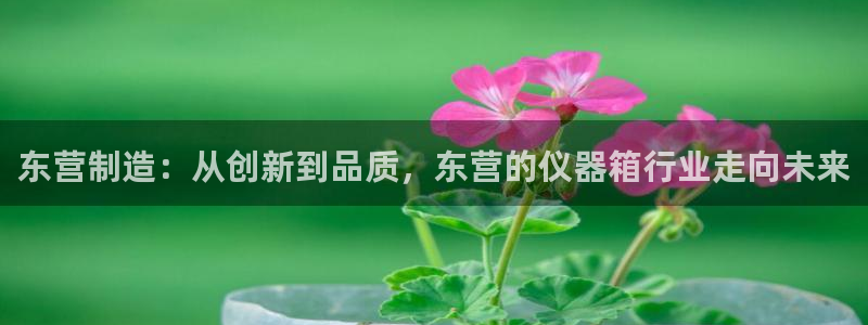 欧星娱乐平台：东营制造：从创新到品质，东营的仪器箱行业走向未