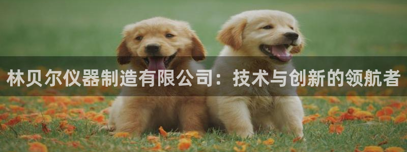 欧星娱乐安全吗：林贝尔仪器制造有限公司：技术与创新的领航者