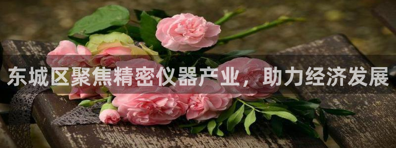 星欧娱乐最近怎么了：东城区聚焦精密仪器产业，助力经济发展