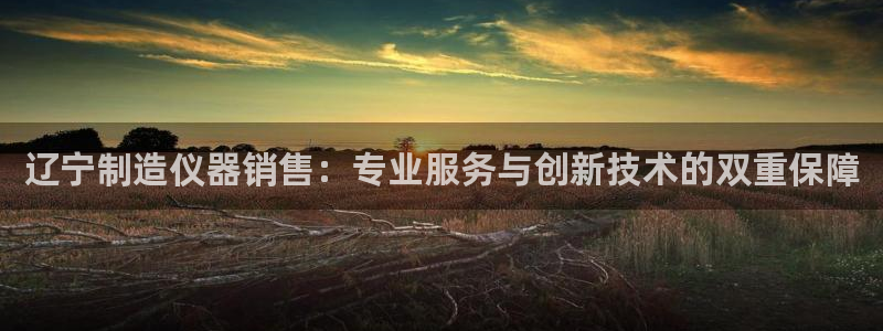 欧米星创文化娱乐：辽宁制造仪器销售：专业服务与创新技术的双重