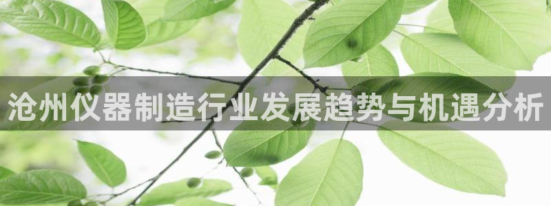 欧星娱乐pt：沧州仪器制造行业发展趋势与机遇分析