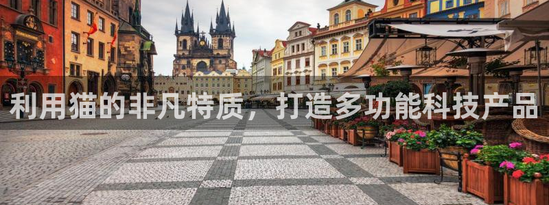 星欧娱乐是诈骗吗：利用猫的非凡特质，打造多功能科技产品