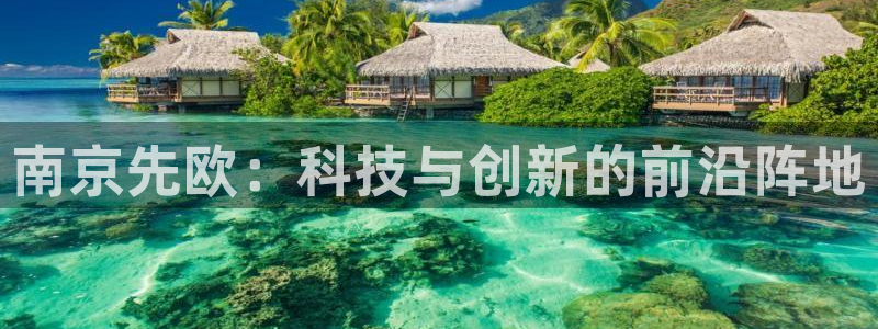 星欧娱乐官网登录入口：南京先欧：科技与创新的前沿阵地