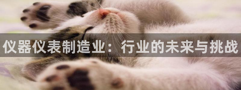 菲律宾亚星国际娱乐欧博：仪器仪表制造业：行业的未来与挑战