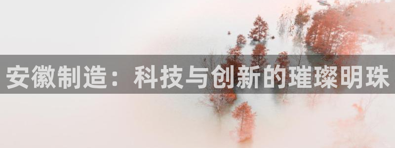欧星娱乐平台是黑的吗：安徽制造：科技与创新的璀璨明珠