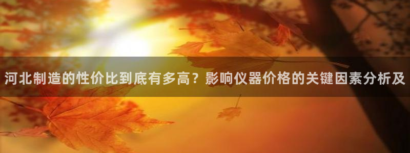 欧星娱乐 拉勾：河北制造的性价比到底有多高？影响仪器价格的关