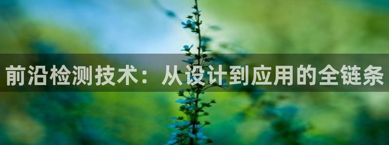娱乐星扒客欧豪：前沿检测技术：从设计到应用的全链条
