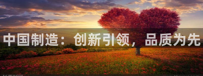 欧星娱乐网址接受：中国制造：创新引领，品质为先