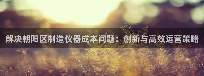 欧汇星娱乐城：解决朝阳区制造仪器成本问题：创新与高效运营策略