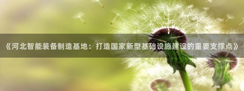 星欧娱乐注册官网入口：《河北智能装备制造基地：打造国家新型基