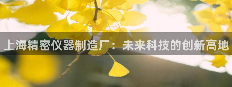 欧星科技娱乐公司：上海精密仪器制造厂：未来科技的创新高地
