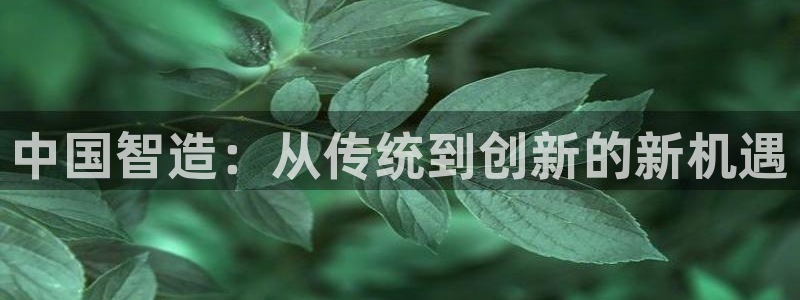 七星娱乐欧包：中国智造：从传统到创新的新机遇