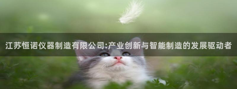 匠星娱乐欧尼老师：江苏恒诺仪器制造有限公司:产业创新与智能制