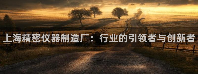欧星娱乐平台是黑的吗?：上海精密仪器制造厂：行业的引领者与创