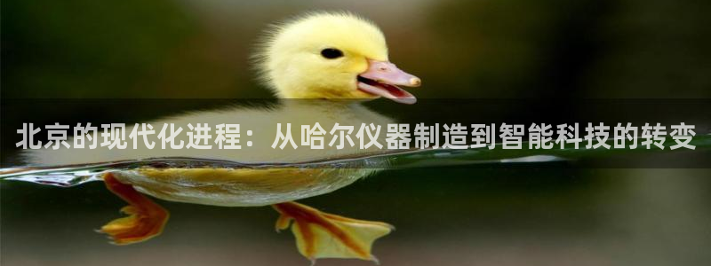欧联杯正赛星辉娱乐：北京的现代化进程：从哈尔仪器制造到智能科