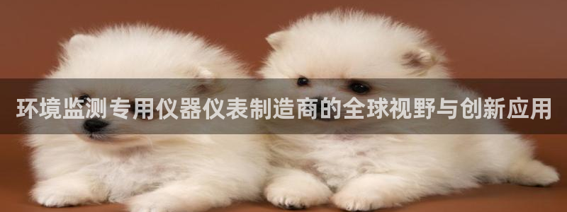 欧米星创文化娱乐：环境监测专用仪器仪表制造商的全球视野与创新
