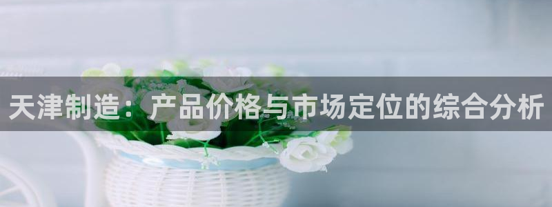 星欧娱乐人工客服电话：天津制造：产品价格与市场定位的综合分析
